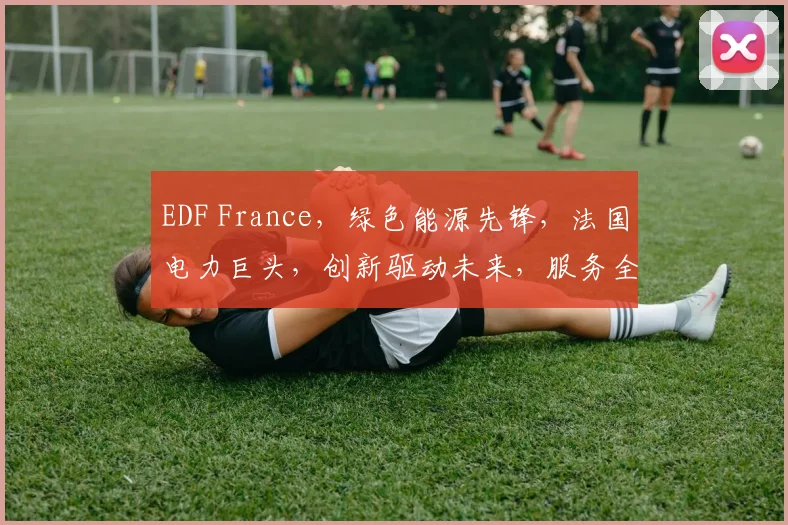 EDF France，绿色能源先锋，法国电力巨头，创新驱动未来，服务全球。